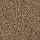 Mohawk Carpet: Renovate I 15 Pretzel Twist